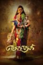 Yamakaathaghi (2025) Tamil WEB-DL – [4K-2160p, 1080p, 720p, 576p] – HEVC/AVC – (DD5.1 – 192Kbps & AAC) – ESub