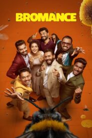 Bromance (2025) TRUE WEB-DL – [4K-2160p, 1080p, 720p, 576p] – HEVC/AVC – [Telugu + Hindi] – (DD+5.1 – 256Kbps & AAC) – ESub