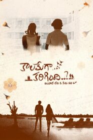 Kaalamega Karigindhi (2025) Telugu TRUE WEB-DL – [4K-2160p, 1080p, 720p, 576p] – HEVC/AVC – (DD+5.1 – 192Kbps & AAC 2.0) – ESub