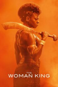 The Woman King (2022) BluRay – [1080p, 720p, 576p] – x264 – (DD+5.1 – 640Kbps) [Telugu + Tamil + Hindi + English]
