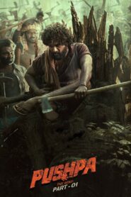 Pushpa The Rise – Part 1 (2021) Telugu Complete Bluray – [1080p, 720p, 576p, 480p] – AVC/HEVC – [DTS + DTS-HDMA] – Jsub